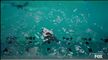 Animal Control 3x10 - TeamPringo