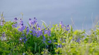 Cornwall A Year by the Sea S02E06 WEB H264-RBB